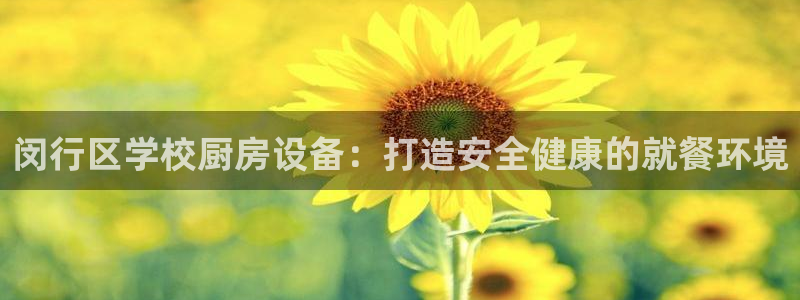 尊龙内地：闵行区学校厨房设备：打造安全健