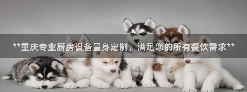 尊龙d88官网so问来就送38：**重庆专业厨房设备量身定制