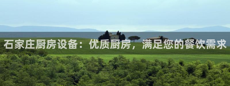 尊龙人生就是博一下阿扎尔：石家庄厨房设备：优质厨房，满足您的