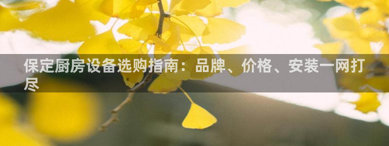 Z6尊龙凯时登录：保定厨房设备选购指南：