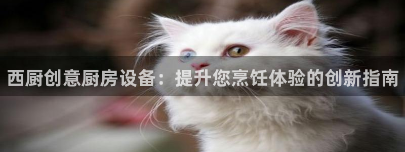 尊龙凯时品牌介绍：西厨创意厨房设备：提升您烹饪体验的创新指南