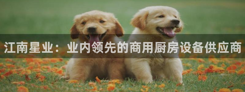 尊龙app登录不了：江南星业：业内领先的商用厨房设备供应商