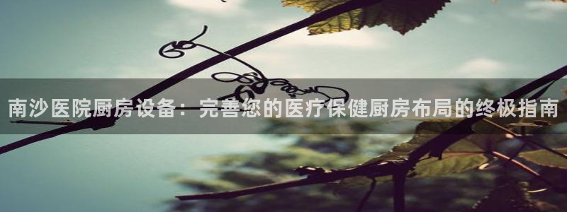 ag旗舰平台尊龙代言：南沙医院厨房设备：完善您的医疗保健厨房