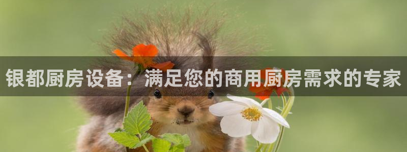 尊龙凯时取款不成功：银都厨房设备：满足您的商用厨房需求的专家