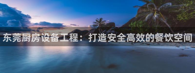 尊龙人生就是博旧：东莞厨房设备工程：打造安全高效的餐饮空间