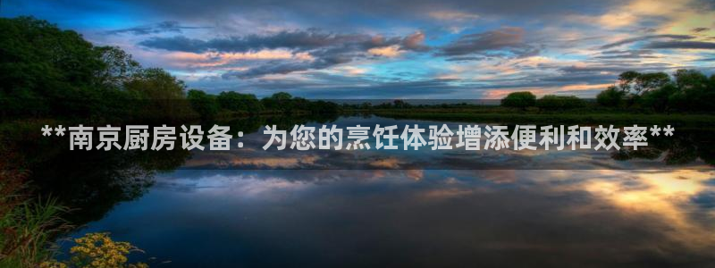 尊龙z6集团：**南京厨房设备：为您的烹饪体验增添便利和效率