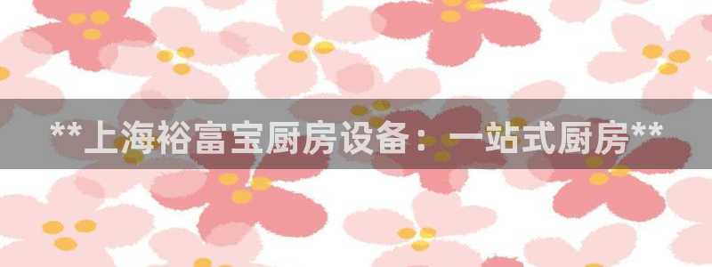 尊龙凯时网站不让提款：**上海裕富宝厨房设备：一站式厨房**