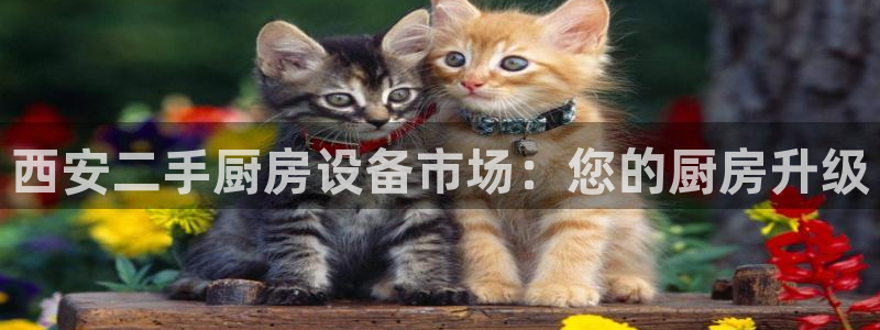 凯时kb88官方：西安二手厨房设备市场：您的厨房升级