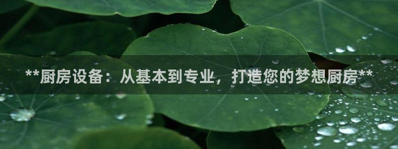 尊龙凯时企业文化：**厨房设备：从基本到专业，打造您的梦想厨