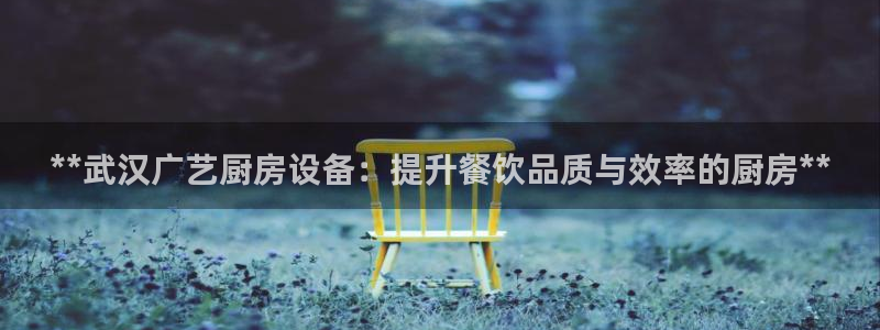 尊龙凯时-人生就是博中国官网：**武汉广艺厨房设备：提升餐饮