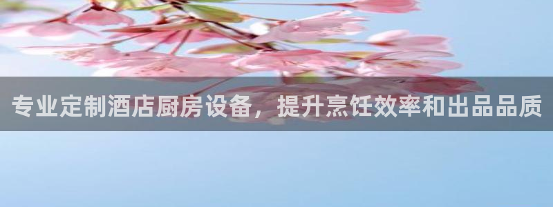 d88尊龙官网登录免费下载：专业定制酒店厨房设备，提升烹饪效