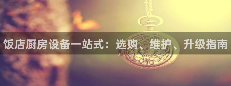 尊龙新版手机app下载：饭店厨房设备一站式：选购、维护、升级