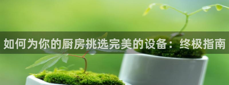 尊龙凯时贴吧：如何为你的厨房挑选完美的设备：终极指南