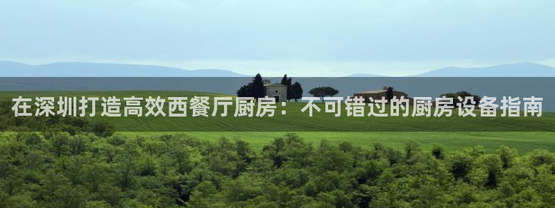 尊龙电子：在深圳打造高效西餐厅厨房：不可错过的厨房设备指南