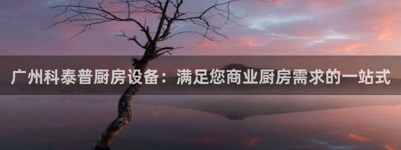 尊龙凯时输了100万：广州科泰普厨房设备：满足您商业厨房需求