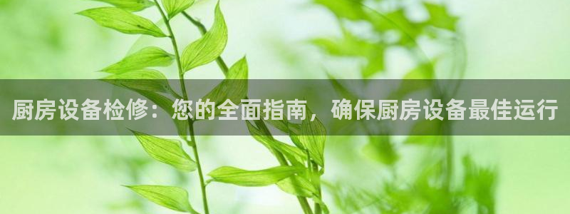 尊龙凯时返现：厨房设备检修：您的全面指南，确保厨房设备最佳运
