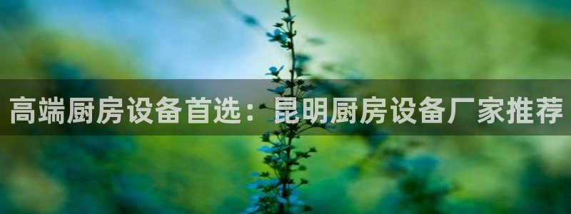 凯时国际平台有人赢吗