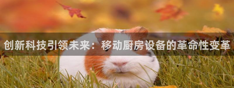 尊龙凯时代理官网入口