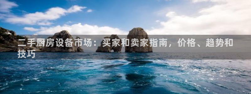尊龙t600怎么样：二手厨房设备市场：买家和卖家指南，价格、