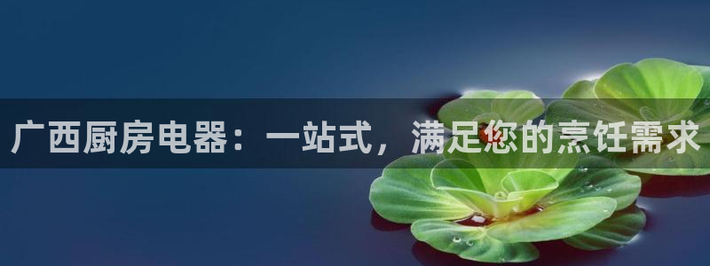 尊龙ag旗舰厅登录 租车app下载