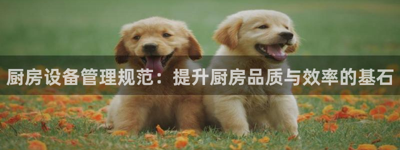 尊龙凯时平台入口