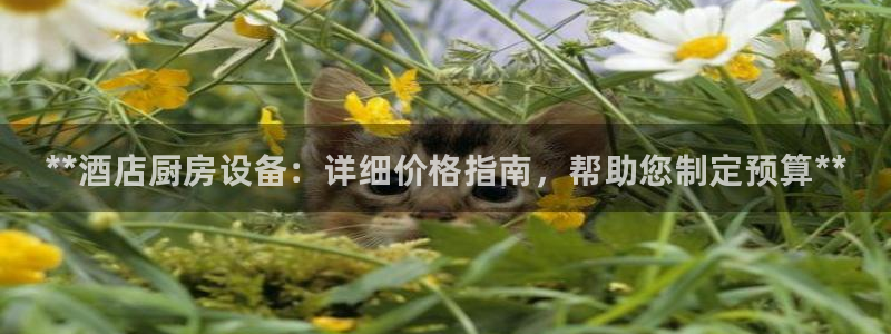 尊龙凯时账号异常审核提不