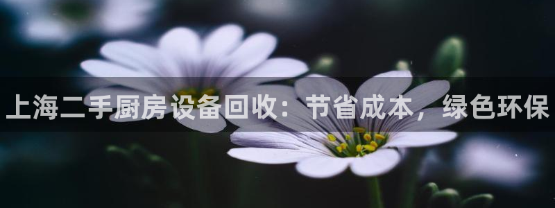 尊龙凯时网娱乐最新版下载