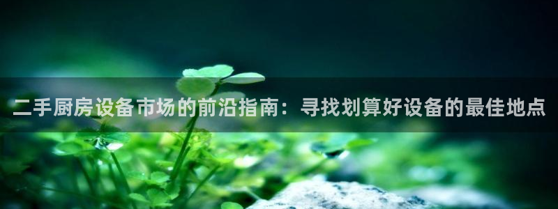 尊龙新版app首页：二手