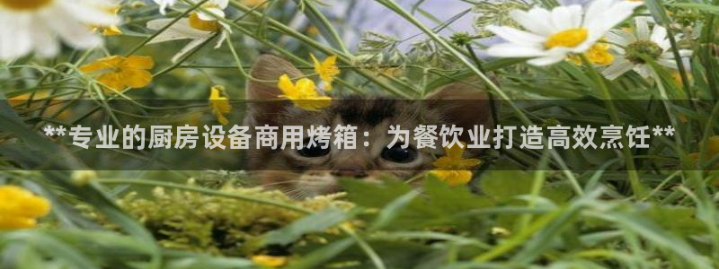 尊龙凯时代理