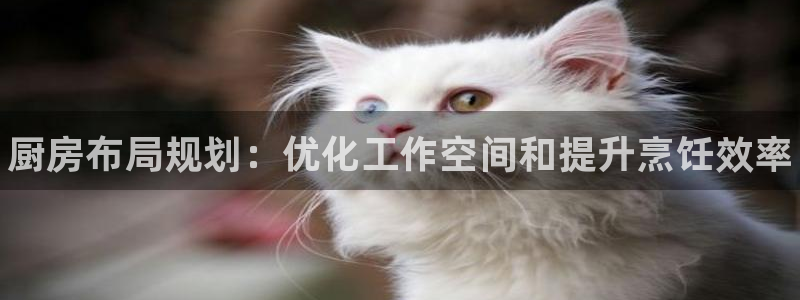 尊龙凯时登陆入口：厨房布局规划：优化工作空间和提升烹饪效率