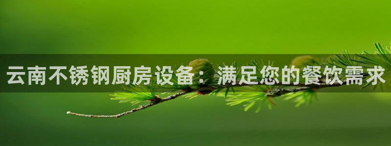 尊龙凯时集团：云南不锈钢厨房设备：满足您