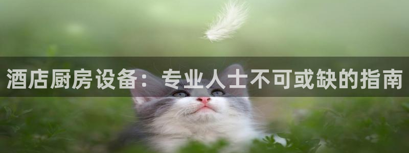 尊龙凯时为什么输了钱：酒店厨房设备：专业人士不可或缺的指南