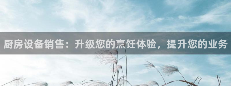 尊龙凯时人生就博：厨房设备销售：升级您的