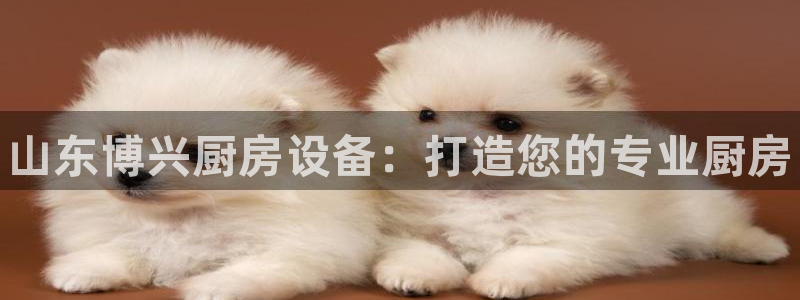 尊龙app官网登录