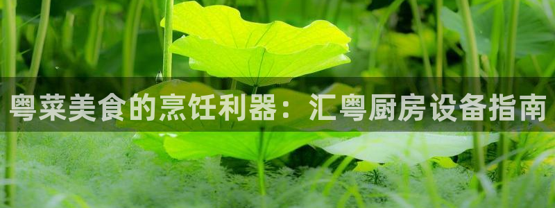 尊龙凯时邀请码