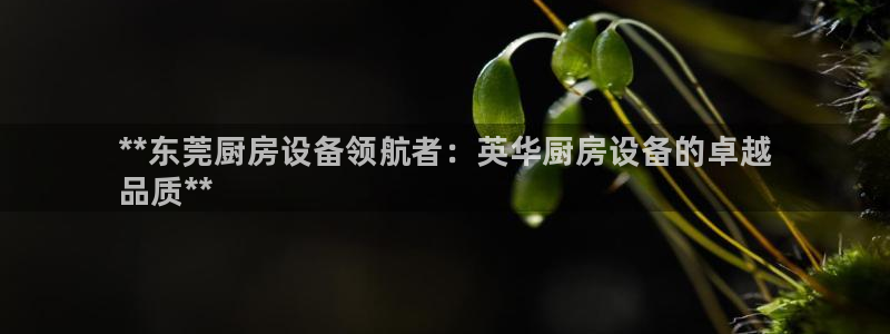 尊龙凯时泰安：**东莞厨房设备领航者：英华厨房设备的卓越
品