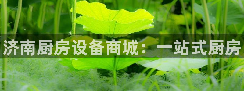 凯时K66最新版本下载：济南厨房设备商城：一站式厨房