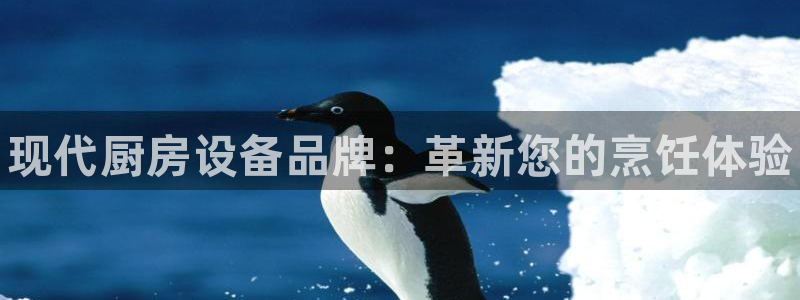 尊龙官方网站最新版V9.3.06：现代厨房设备品牌：革新您的